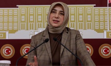 Özlem Zengin'in Grup Başkanvekili seçilmesi tepki çekti