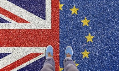 İngiltere'nin Brexit sonrası ilk serbest ticaret anlaşmaları bugün devreye giriyor