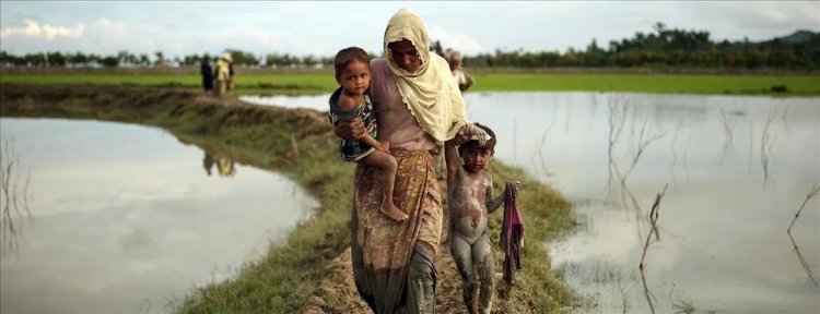 Arakanlı Müslümanlar vatandaşlıktan çıkarıldığı için afetlere karşı savunmasız kalıyor