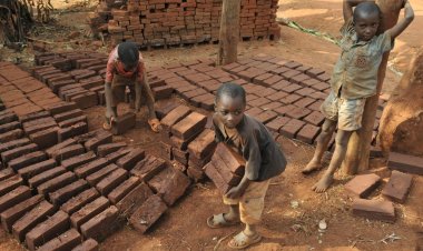 Afrika 92 milyon çocuk işçiliğiyle en üst sırada