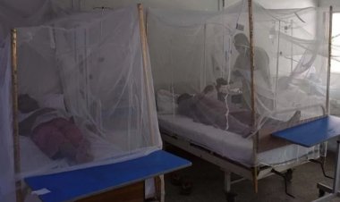 DSÖ: Dünya genelinde 4 milyar kişi dang humması virüsüne yakalanma riskiyle karşı karşıya