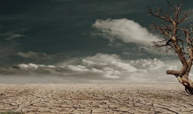 Çölleşme nedeniyle 2045 yılına kadar yaklaşık 135 milyon insan evinden olabilir