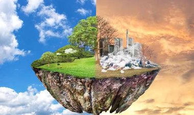 AB, iklim hedefleri için yeterli finansman bulamıyor