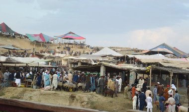 Afganistan halkı kurban ibadetini yerine getirmek için kurban pazarlarına akın ediyor