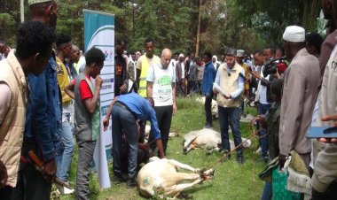 Avrupa Yetim Eli, Afrikalı binlerce yoksulu kurban etleriyle sevindirdi