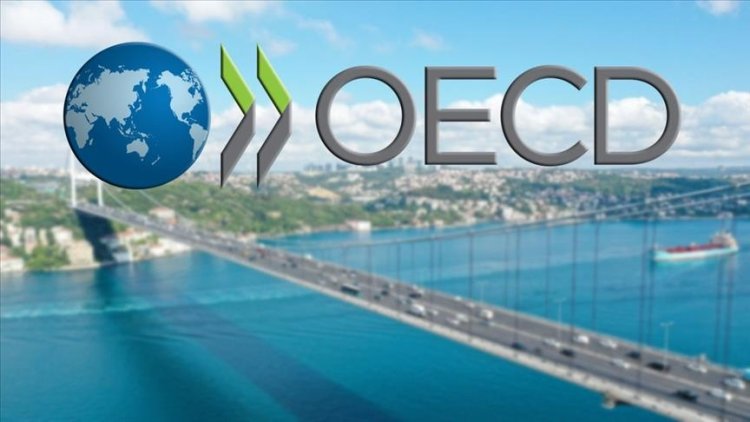 OECD Türkiye'nin büyüme tahminini yükseltti