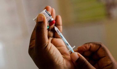 İlk sıtma aşıları 12 Afrika ülkesine gidecek