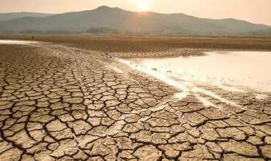 Irak'ta yaşanan kuraklık nedeniyle çiftçiler kentlere göç ediyor