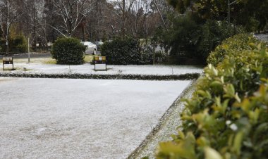 Güney Afrika'nın Johannesburg kentinde 11 yıl aradan sonra kar yağdı