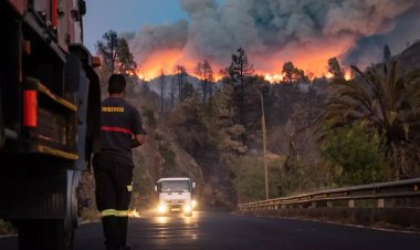 La Palma Adası'nda orman yangını: 4 binden fazla kişi tahliye edildi