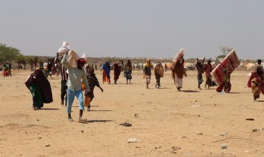 OECD: Kuraklık yoksulluğu ve göçü tetikliyor, tüm sektörler tehdit altında