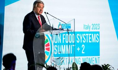 Guterres: Karadeniz Tahıl Girişimi'nin sona ermesiyle en yüksek bedeli, en zayıf olanlar ödeyecek