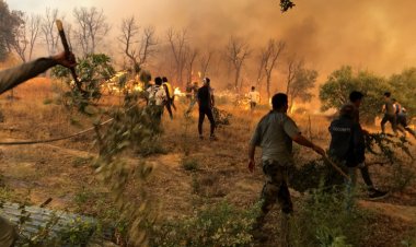 Cezayir’de orman yangınlarını söndürme çalışmalarında 10 asker hayatını kaybetti