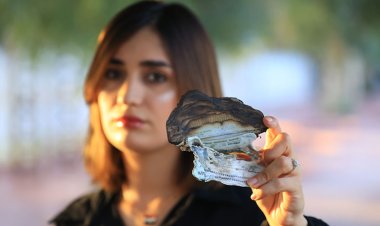 İsveç pasaportunu yakan Iraklı kadın: Kur'an-ı Kerim'i ve ülkemi savunmak için yaptım