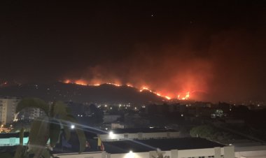 İtalya'da yılbaşından bu yana 73 binden fazla futbol sahasına denk alan yandı