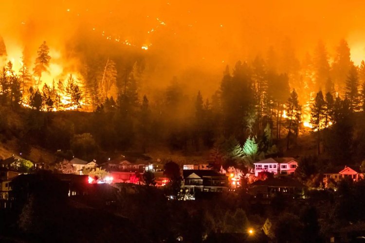 Kanada'daki orman yangınlarıyla mücadele devam ediyor