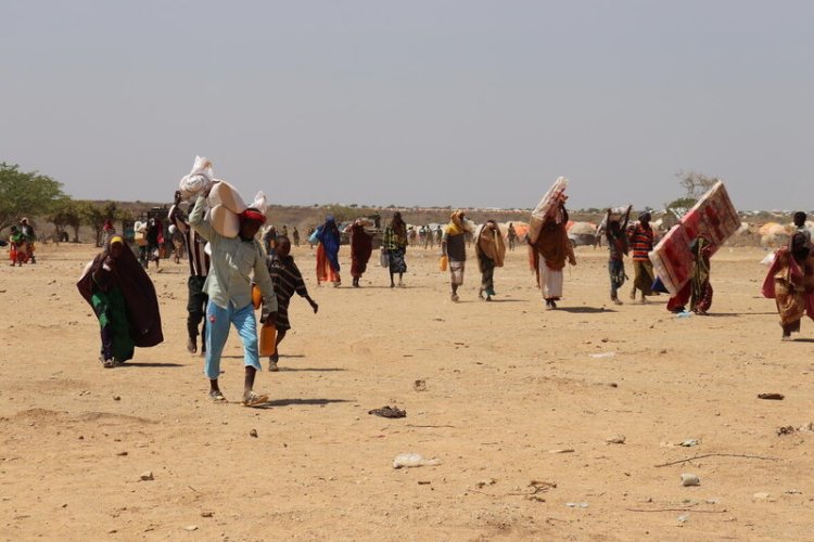 Afrika Boynuzu'ndaki kuraklık 2,7 milyon insanı yerinden etti