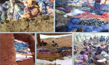 Amnesty International'den Etiyopya'daki çatışmalarla ilgili soruşturma çağrısı