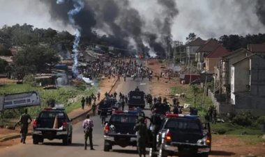 Nijerya'da düzenlenen silahlı saldırıda 21 kişi hayatını kaybetti