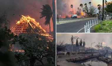 Hawaii'de devam eden orman yangınlarında ölenlerin sayısı 89'a çıktı