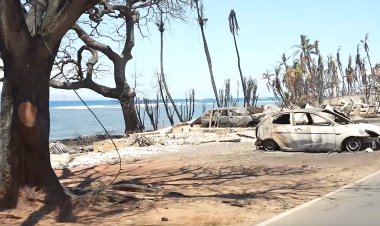 Hawaii'deki orman yangınlarında hayatını kaybedenlerin sayısı yükseliyor