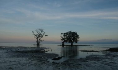 Dünya Meteoroloji Örgütü: El Nino hava olayı küresel iklimi etkilemeyi sürdürecek