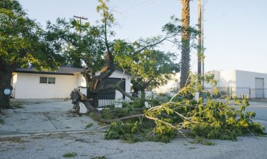 Avrupa, bunaltıcı sıcaklar ve şiddetli yağışla mücadele ediyor