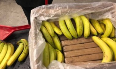 İspanya'da 9,4 ton kokain ele geçirildi