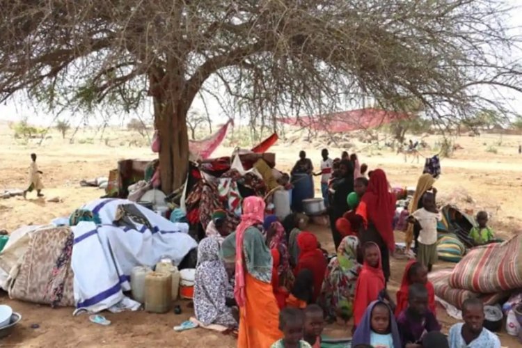 UNHCR: Çad'daki mülteciler sorunu daha kötüye gidebilir