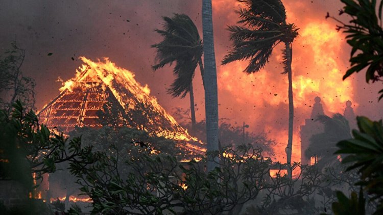 Hawaii'de devam eden orman yangınlarında ölenlerin sayısı 53'e çıktı