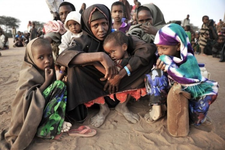 FAO: Sudan'da 6,2 milyondan fazla insan, kıtlıktan birkaç adım uzakta