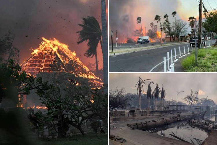 Hawaii’deki orman yangınları sonrası 1000'den fazla kişiden haber alınamıyor