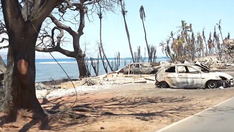 Hawaii'deki orman yangınlarında hayatını kaybedenlerin sayısı yükseliyor