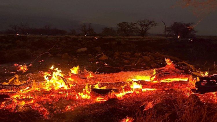 Hawaii'deki orman yangınlarında ölenlerin sayısı 106'ya yükseldi