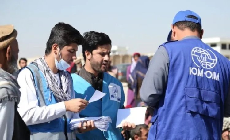Uluslararası Göç Örgütü Kandahar’daki faaliyetlerine yeniden başladı