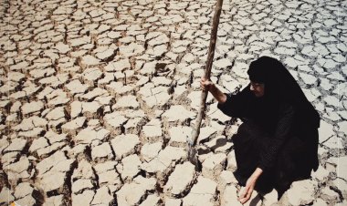 Irak'ın yüzde 40'ı çölleşme riski altında