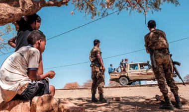 Uluslararası Af Örgütü: Eritre Ordusu, Etiyopya'da savaş suçu işledi