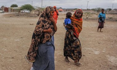 BM, Sudan'da gıda güvenliği için acil müdahale planını uygulamaya başladı