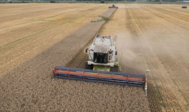 AB'nin Ukrayna tahıl ürünlerine uyguladığı yasak kalkıyor