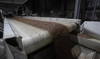 Ukrayna, tahıl ithalatını yasaklayan AB ülkelerine dava açmaya hazırlanıyor