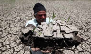 Çölleşme Arap ülkelerindeki tarım alanlarını "yok olma" tehlikesiyle karşı karşıya bırakıyor