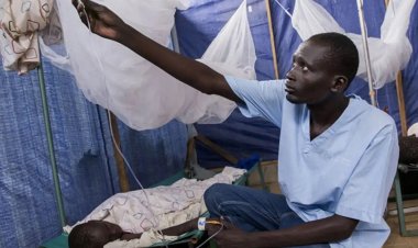 Nijerya'da kolera salgınında ölenlerin sayısı 94'e çıktı