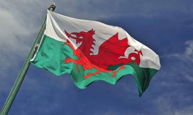 Galler Parlamentosu Gazze'de ateşkes çağrısı yapan önergeyi kabul etti