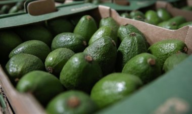 Fransa'da, israil menşeli ürünler, başka ülke menşeli gösterililiyor