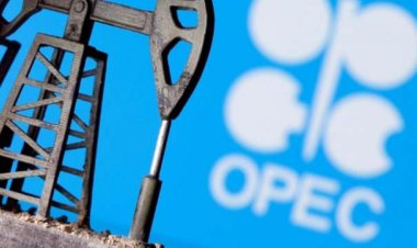 Brezilya OPEC+ ittifakına katılacak
