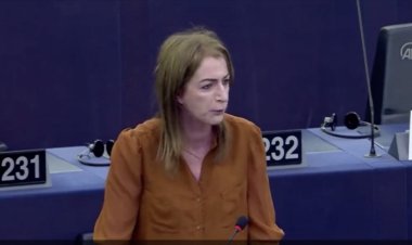 'AB'nin ahlaki otoritesi yok' diyen İrlandalı AP üyesi: israil Batı'nın buldog köpeği!