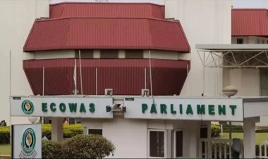 Mali, Nijer ve Burkina Faso, ECOWAS'tan ayrılmak için bir yıl bekleyebilir