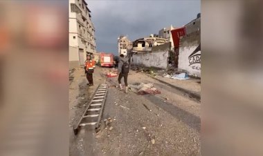 Gazze'nin kuzeyinde İşgalci İsrail'in saldırısında katledilen Filistinlilerin cansız bedenleri etrafa saçıldı