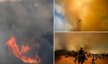 Şili'de devam eden orman yangınlarında yaşamını yitirenlerin sayısı 51'e çıktı