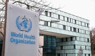 DSÖ: Hepatit B ve C enfeksiyonları nedeniyle her gün 3 bin 500 kişi ölüyor